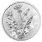 Preview: 10 Euro Silber 2022 Der Löwenzahn Hgh Blister