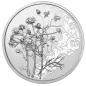 Preview: 10 Euro Silber 2023 Die Kamille Hgh Blister