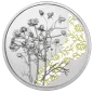 Preview: 10 Euro Silber 2023 Die Kamille PP