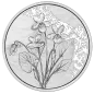 Preview: 10 Euro Silber 2024 Das Veilchen Hgh Blister