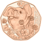 Preview: 5 Euro Kupfer 2023 Schwein gehabt