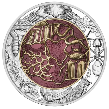 Preview: 25 Euro Silber Niob 2024 Edaphon Lebendiger Boden