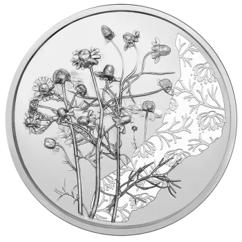 Preview: 10 Euro Silber 2023 Die Kamille Hgh Blister