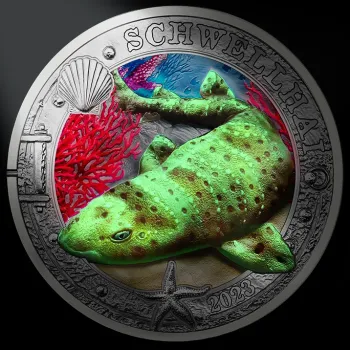 Preview: 3 Euro 2023 Schwellhai