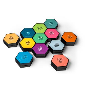 „Geschlossene Sammelkassette für 20-Euro-Silbermünzen der Serie Sternbilder – edles Etui mit Sternmotiv, ideal zur sicheren Aufbewahrung und Präsentation“