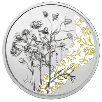 10 Euro Silber 2023 Die Kamille PP