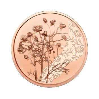 10 Euro Kupfer 2023 Die Kamille