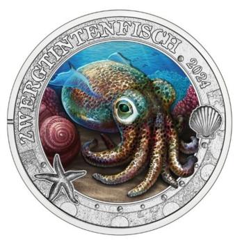 3-Euro-2024-Zwergtintenfisch