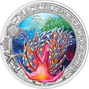 3 Euro 2025 Nacktkiemerschnecke